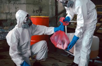 Urine and Feces Cleanup