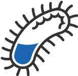 Infectious Disease Cleanup